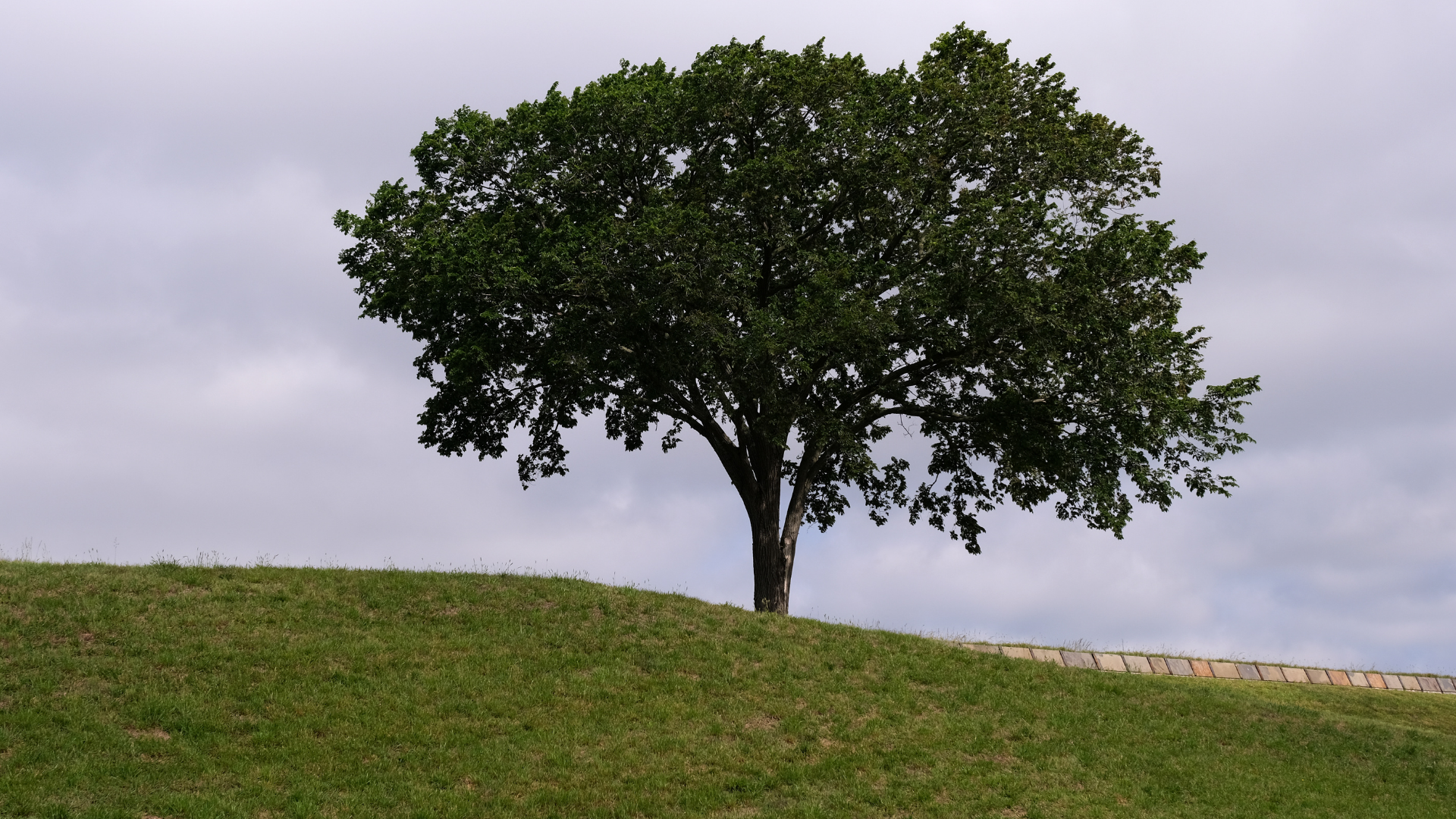 The higher you climb, the lonelier it gets. Or does it?